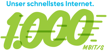 Internet in Quedlinburg bis 1000 Mbit pro Sekunde